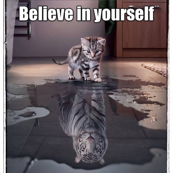 Meet your Posher🤗 - Picture 4 of 4